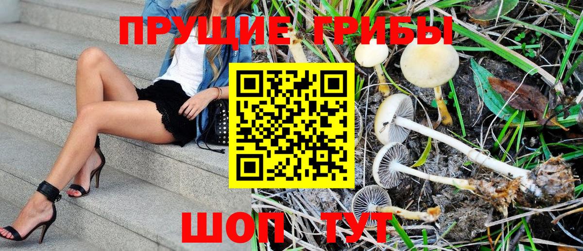 Галлюциногенные грибы MAGIC MUSHROOMS Тобольск