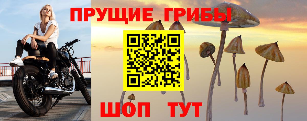 Псилоцибиновые грибы Cubensis  как найти наркотики  Тобольск  Вход с VPN 